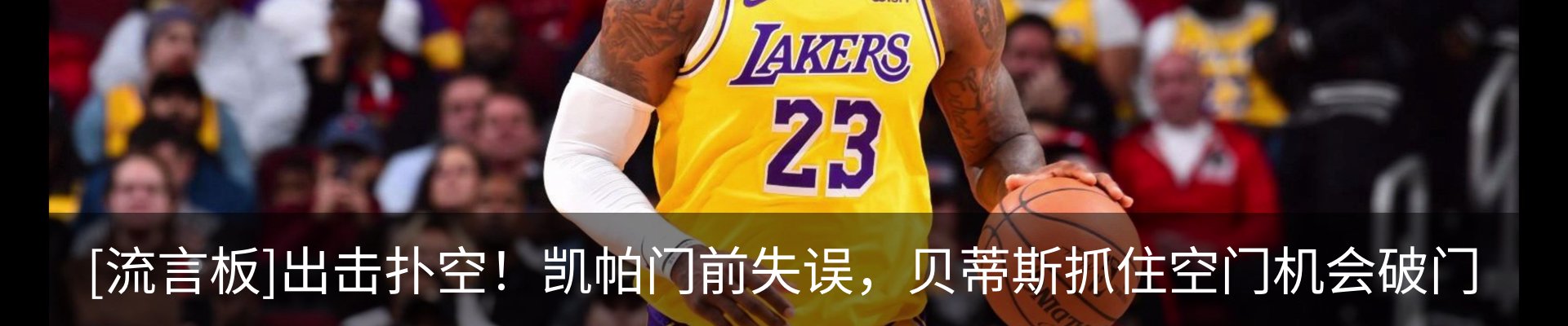 最新动态